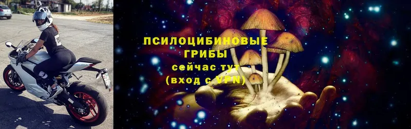 Галлюциногенные грибы Cubensis  мега   Болгар 